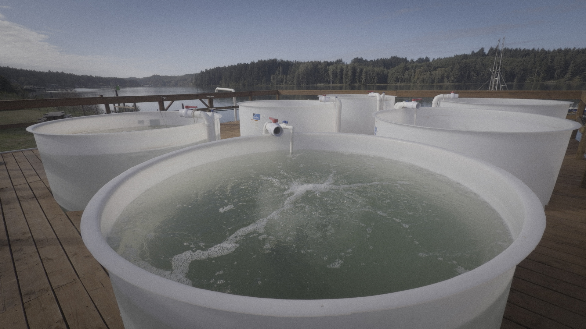 Modern aquaculture tanks